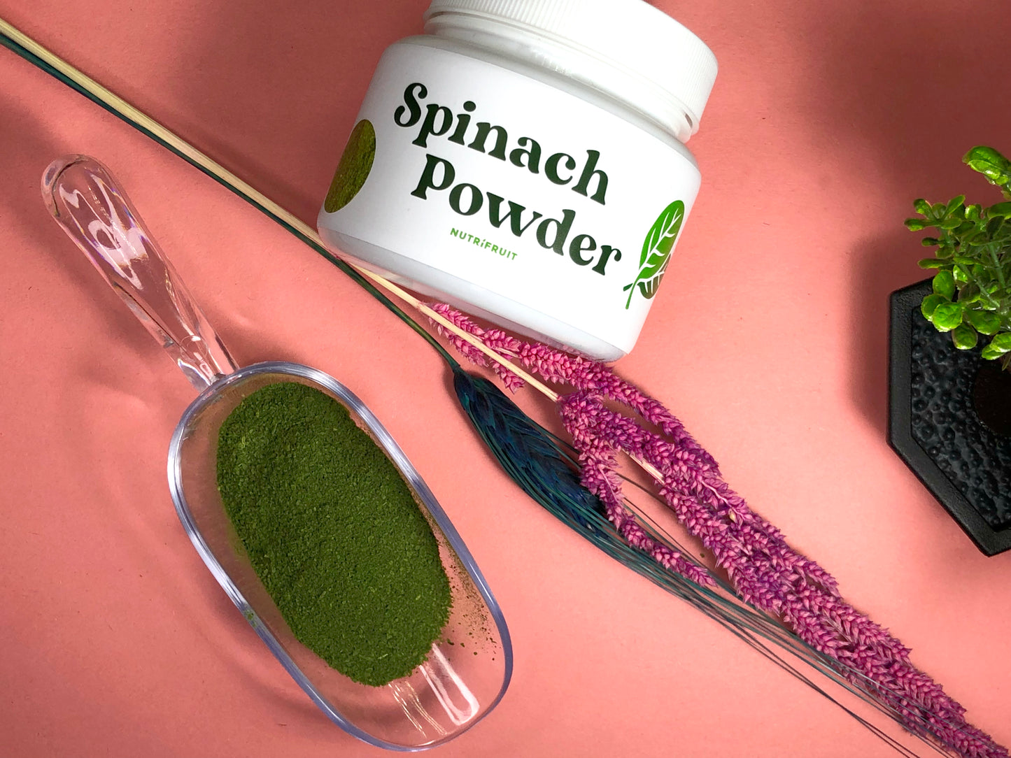 Spinach Powder